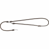 Blaser Leder Hundeleine (Braun) 