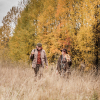 Fjäll Räven Damen Winterhose Sörmland Tapered (Dark Olive) 