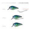 Probaits Body: SMTX-H Crankbait - Ayu | Moody 