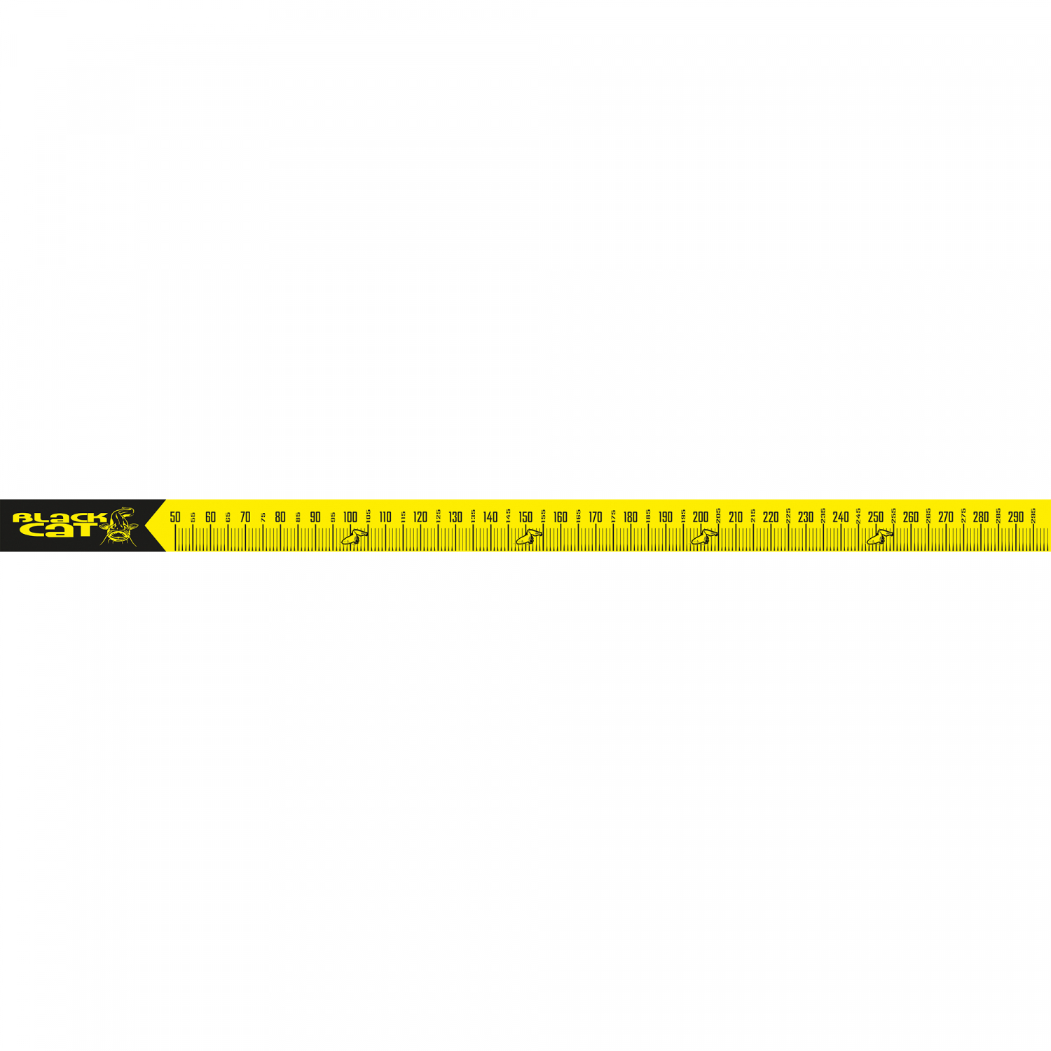 Black Cat Cat Measure 