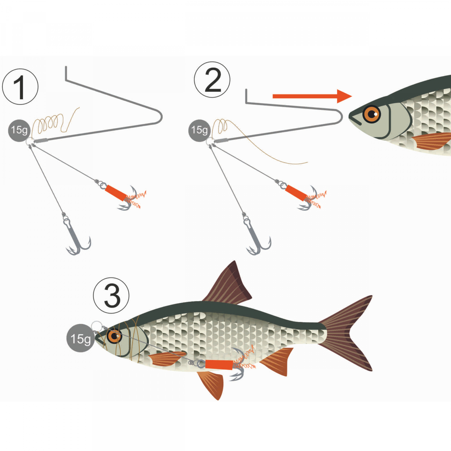 Kogha Köderfischsystem Classic (Gr. 1) 
