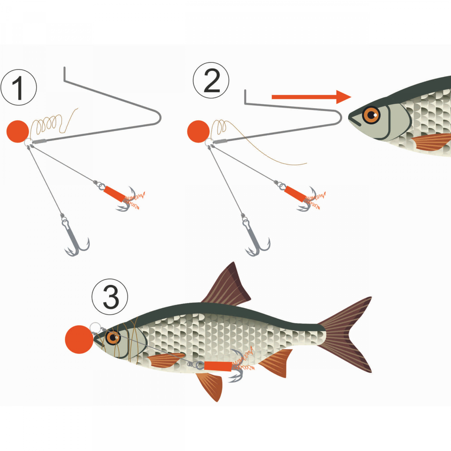 Kogha Köderfischsystem schwebend (Gr. 2) 