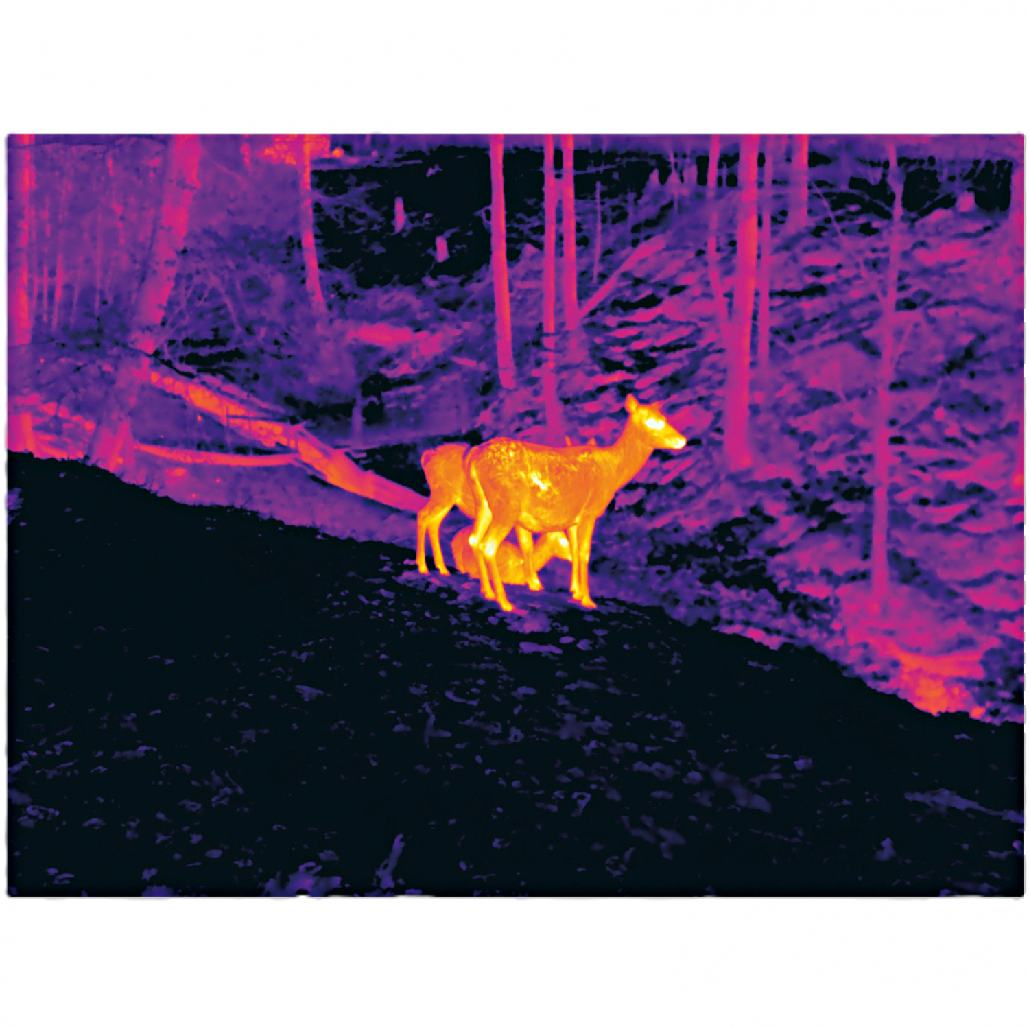 PixFra Chiron PFI-C425 (F) 