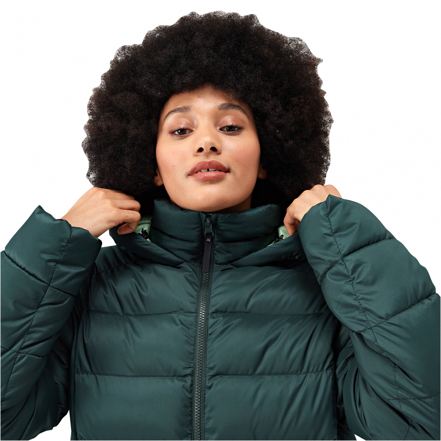 Regatta Damen Jacke Elender (dunkelgrün) 