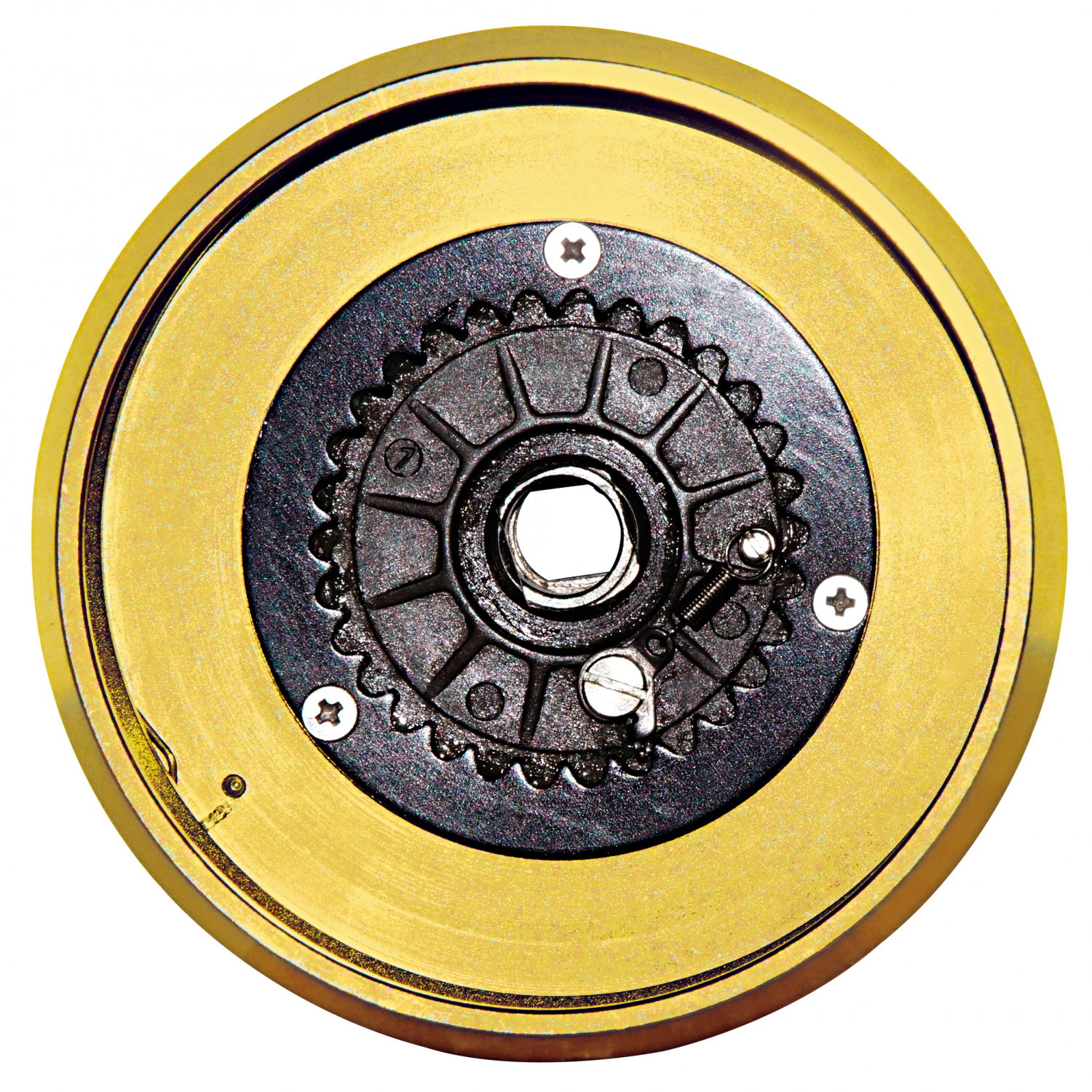 WFT Meeresrolle Pro Salt 2 