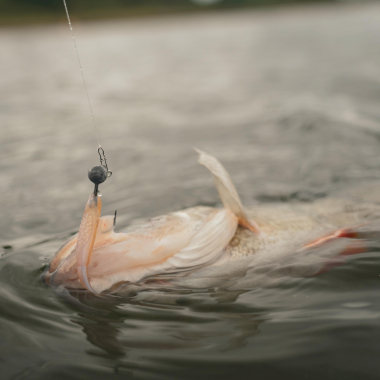 Fox Rage Scent Shad (Natural Wakasagi)