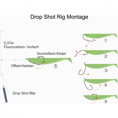 Kogha Rig Drop Shot