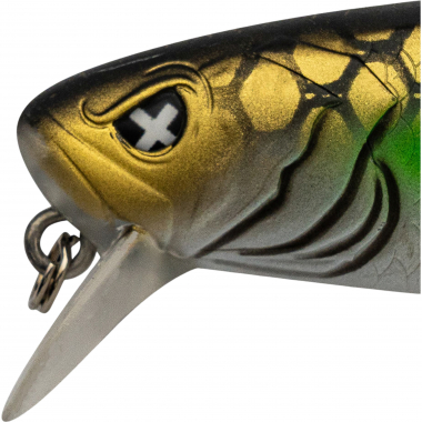 Monkey Lures Rollin Lui (Carpe Nostra)