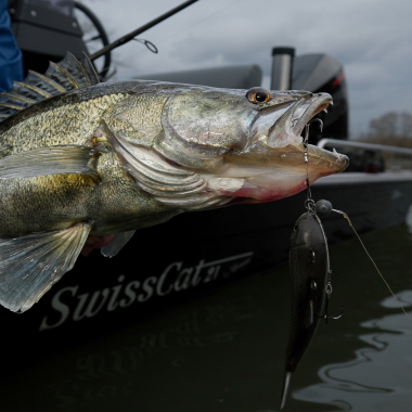 Pulz Bait Jigging Rigz