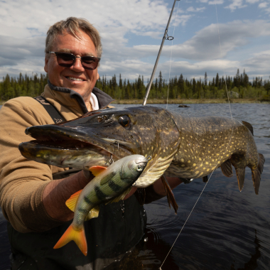 Pulz Bait Perch Kit (Natural Perch)