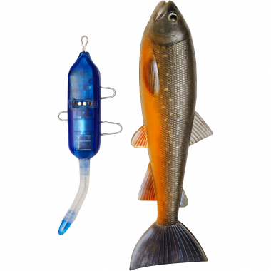 Pulz Bait Trout Kit (Arctic Char)