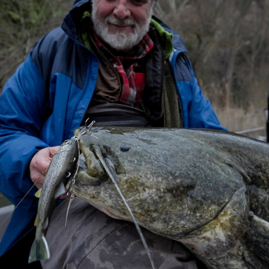 Pulz Bait Trout Kit (Brown Trout)