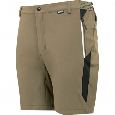 Regatta Mountain II Wandershorts für Herren