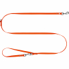 Blaser Hundeleine Professional (Orange) 