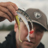 Fox Rage Scent Shad (Sparkling Minnow) 