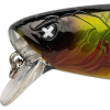 Monkey Lures Rollin Lui (Terror Tench) 