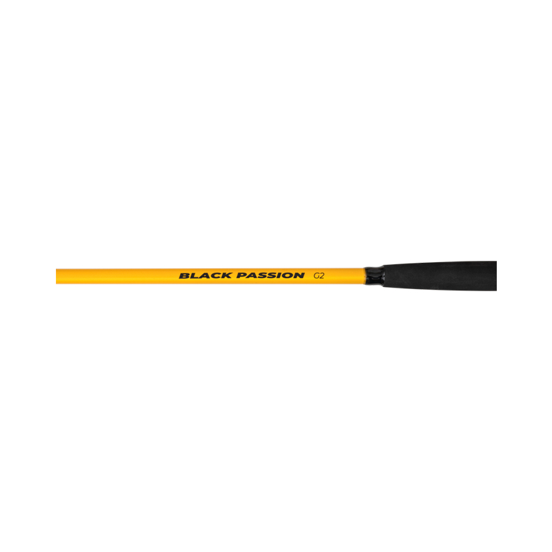 Canne à Pêche Black Cat Black Passion G2 Spinn 270cm 50-200g - Pour Lancer Et Poisson-Chat