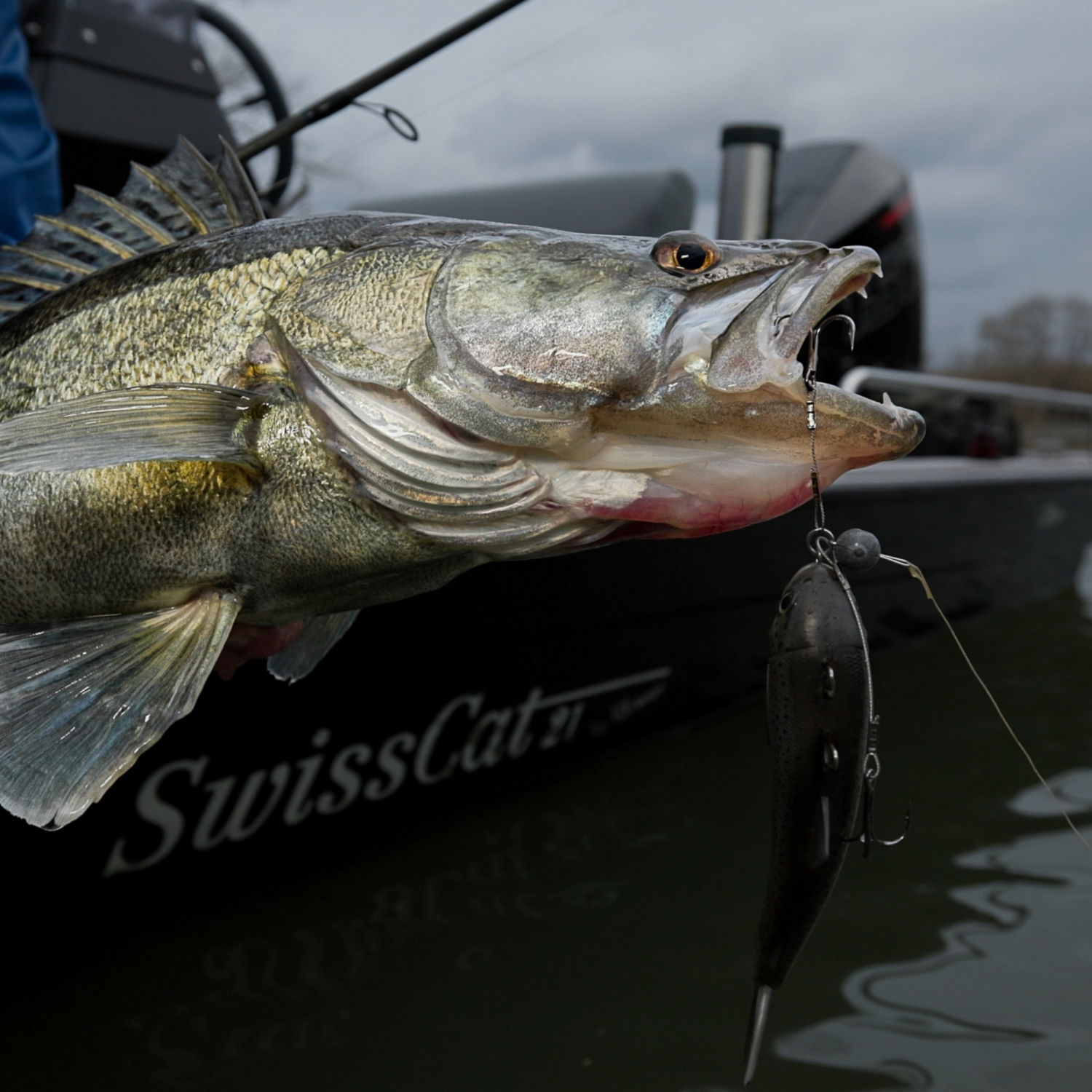 Pulz Bait Jigging Rigz günstig kaufen | Askari Angelshop