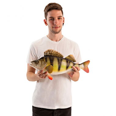 Deko-Fisch Barsch 34 cm