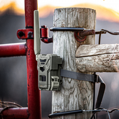 Spypoint Wildkamera Flex-M