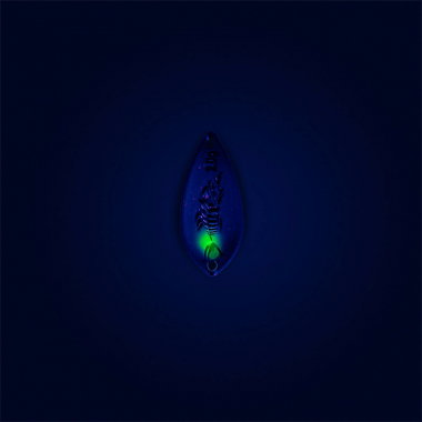 Probaits Aro Spoon 2,0 g - Rippa⁶ | Instinct