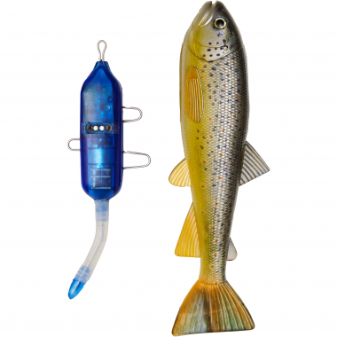 Pulz Bait Trout Kit (Brown Trout)