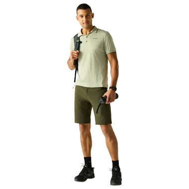 Regatta Remex II Poloshirt Herren (Light Sage)