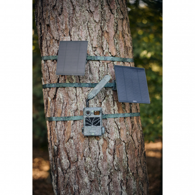 Zeiss Secacam 3 (3er Pack)