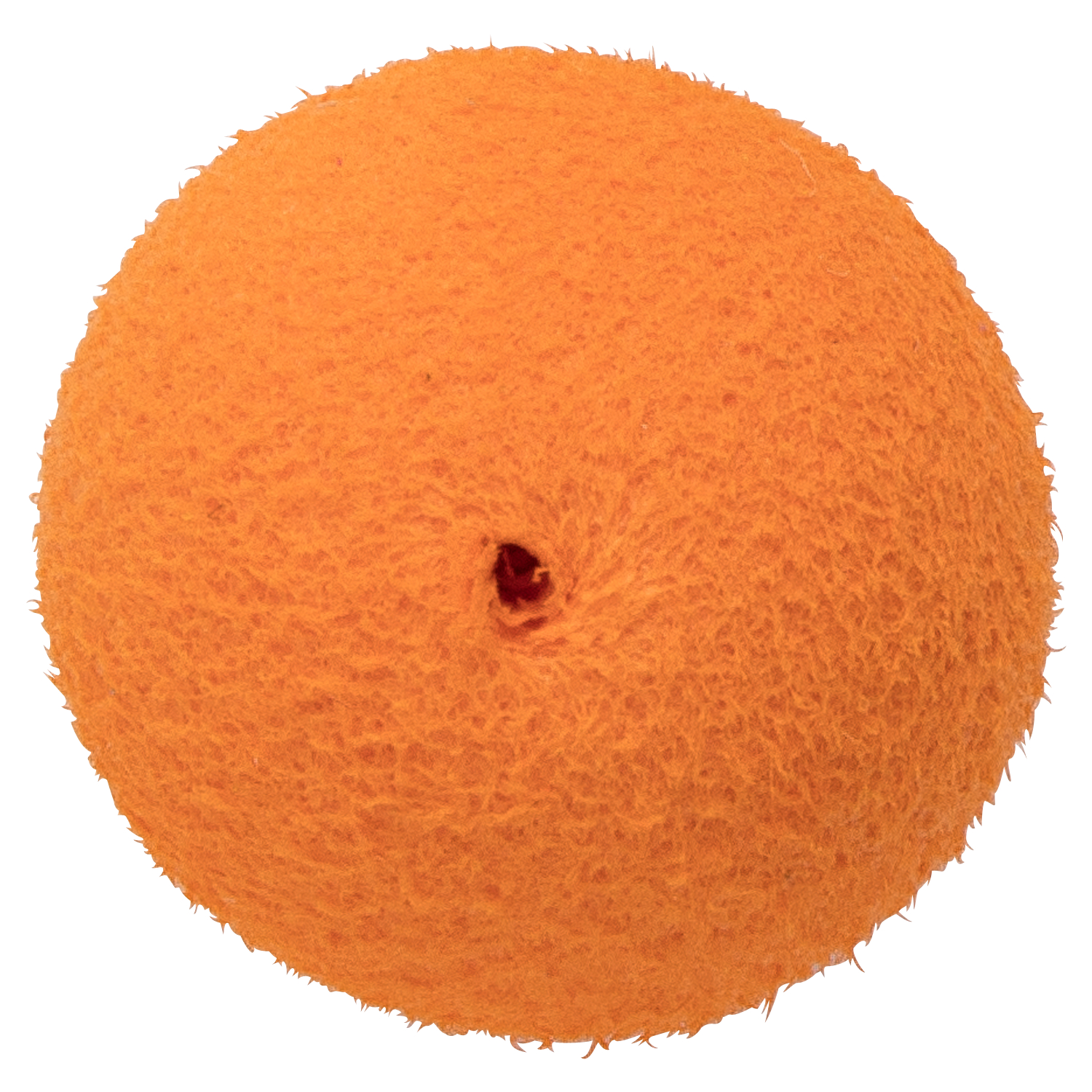 Kogha Pop Ups Boilies Artificial 