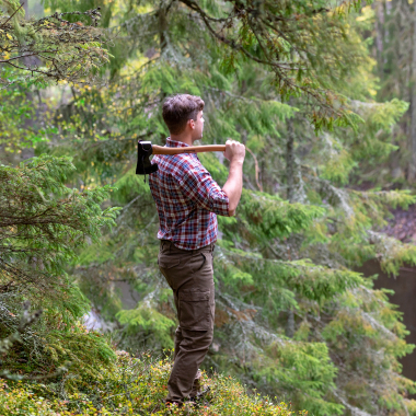 Pinewood Herren Hose Serengeti (Oliv)