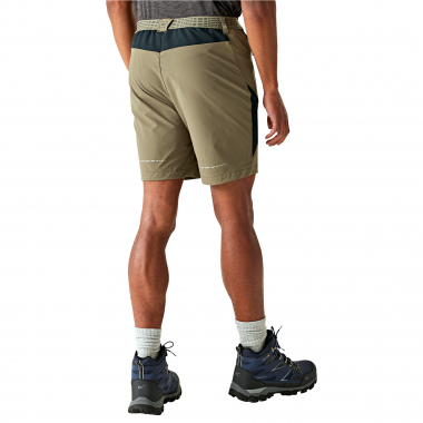 Regatta Mountain II Wandershorts für Herren