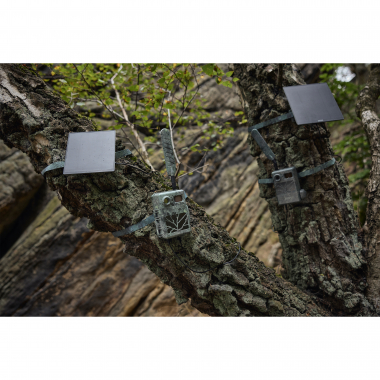 Zeiss Secacam 3 (3er Pack)