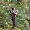 Pinewood Herren Hose Serengeti (Oliv) 