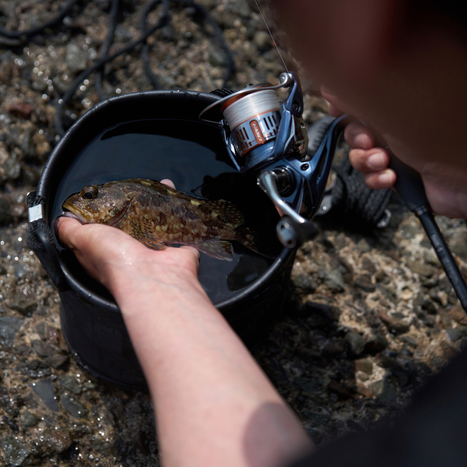 Shimano Spinnrolle Nasci FD 