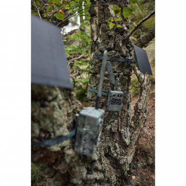 Zeiss Secacam 3 (3er Pack)