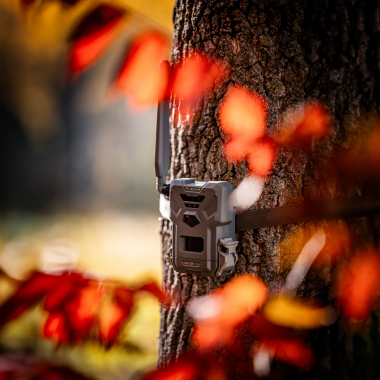 Spypoint Wildkamera Flex-M