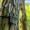 Hikmicro Wildkamera T16 