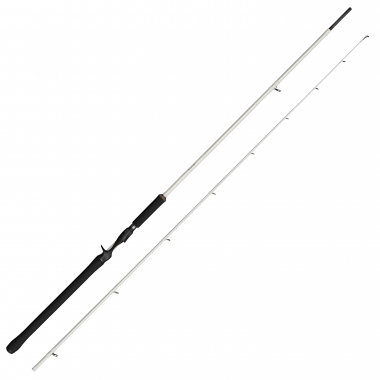 Abu Garcia Beast X Trolling Casting