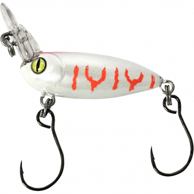 Balzer Billy Beetle (Albino)