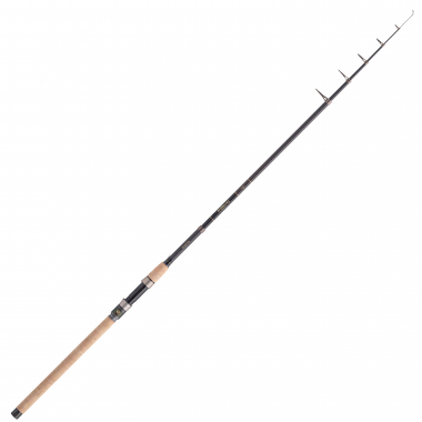 Balzer Diabolo Golden Circle (Trout) Forelle 