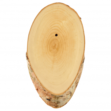 Birch wood trophy board (slice)