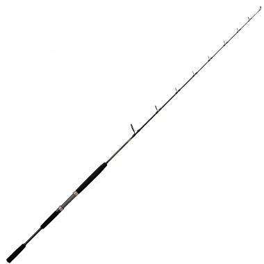 cat fishing rod