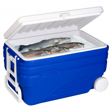 fishing cool box