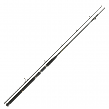 Daiwa Daiwa BG Pilk Fishing Rod 50 - 150 g