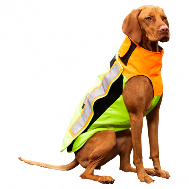 Den anden dag pålidelighed effektiv Dog Savety Vest at low prices | Askari Hunting Shop