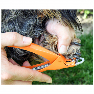 Dogs Claw Clippers