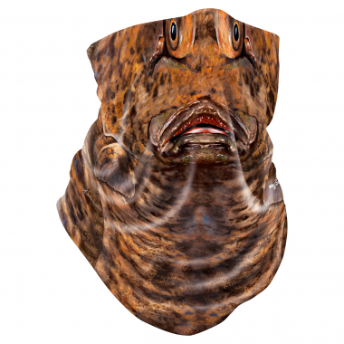 Eisele UV Baff (Halibut)
