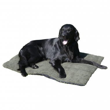 il Lago Passion Outdoor Dog Blanket