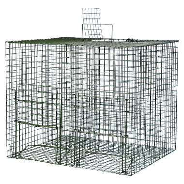 Larsen Cage Trap