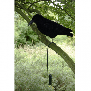 Lift hook for doves and crows